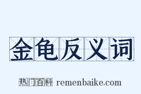 金龟反义词是什么意思的图片